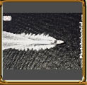 speed boat running at sea with waves. Angra dos Reis, Rio de Janeiro, Brazil.